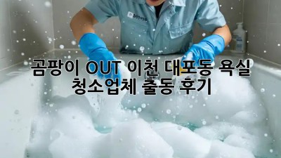 🚿 곰팡이 OUT! 이천 대포동 욕실 청소업체 출동 후기 🛁