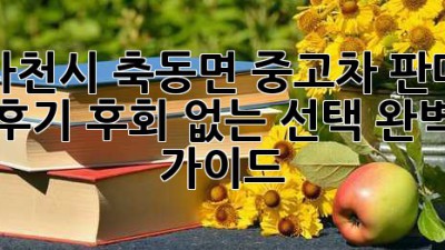 사천시 축동면 중고차 판매 후기: 후회 없는 선택 완벽 가이드