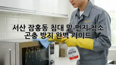 서산 잠홍동 침대 밑 먼지 청소 & 곤충 방지 완벽 가이드
